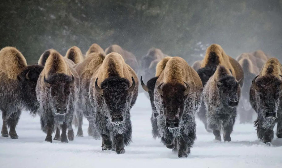 四川立智丰建筑工程有限公司轮播图1